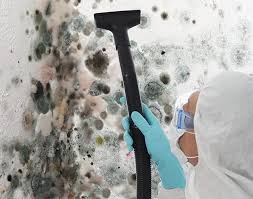 Best Biohazard Mold Removal  in Coord, NC